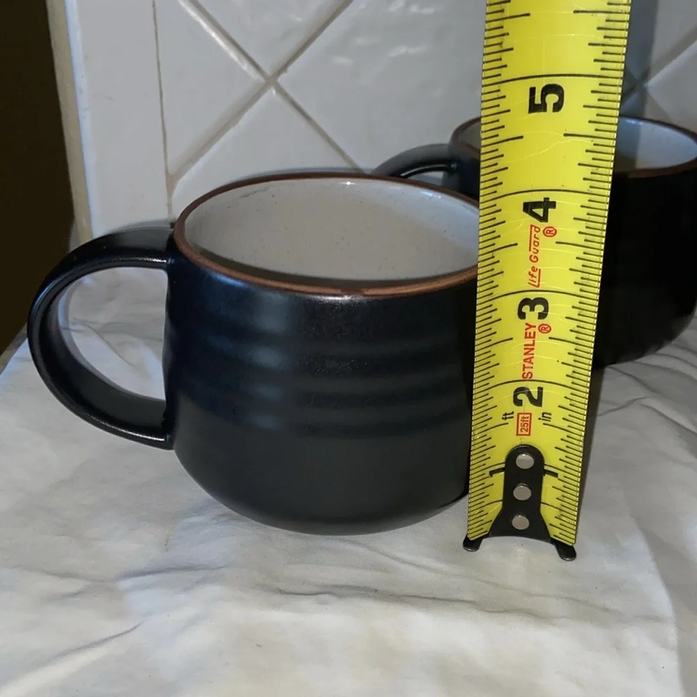 Like new set of 4 Crate & Barrel 18th Street Mugs Boho Rustic Stoneware